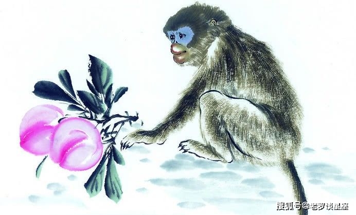 穷苗苦根是什么生肖、成就作答落实解释 穷苗苦根是什么生肖、成就作答落实解释