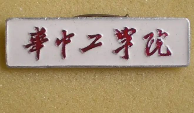 泰山北斗与生肖之谜，揭秘传统文化中的智慧与寓意