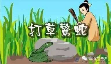 打草惊蛇是蠢才，解读与生肖的关联