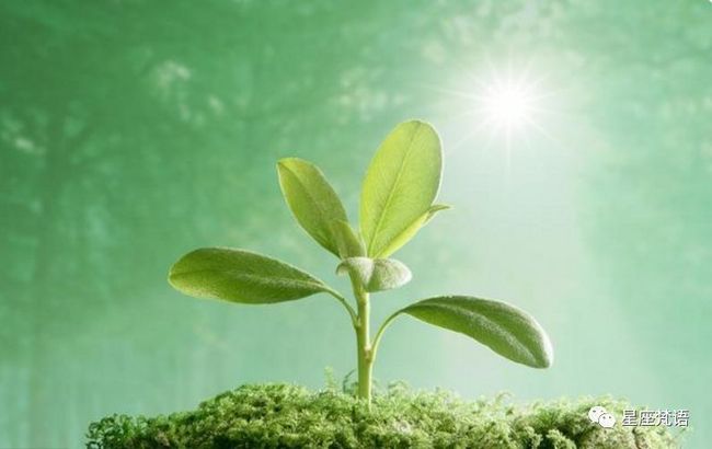 雨过天晴打一生肖:答案解释落实 雨过天晴打一生肖:答案解释落实