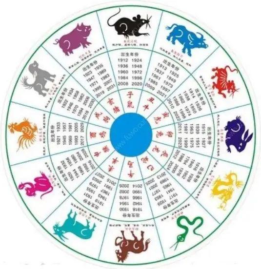 科学解析率性任意与生肖的奥秘,揭秘生肖选择的背后逻辑 科学解析率性任意与生肖的奥秘,揭秘生肖选择的背后逻辑