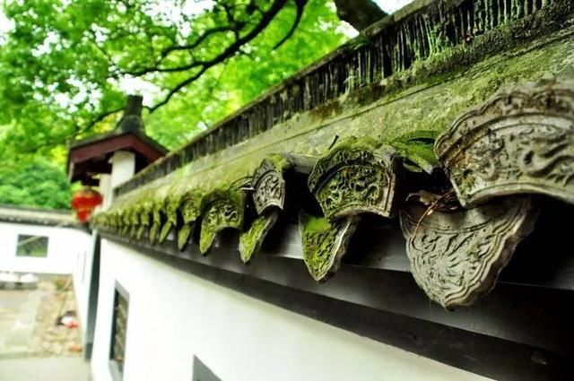 揭秘北门南牙,探寻生肖之谜的深度解析 揭秘北门南牙,探寻生肖之谜的深度解析