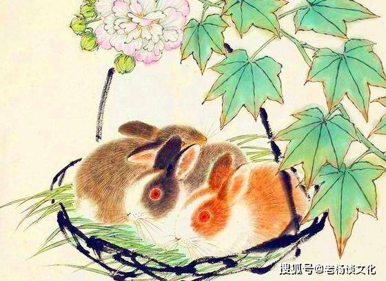 逆来顺受的生肖:最快解答落实