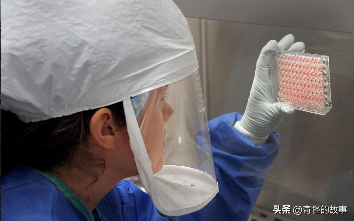 世卫组织深入调查,禽流感是否人传人引发全球热议与防控措施落实 世卫组织深入调查,禽流感是否人传人引发全球热议与防控措施落实