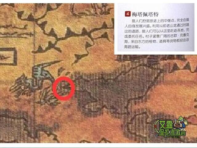 千丝万缕的生肖谜团,揭秘与解析 千丝万缕的生肖谜团,揭秘与解析