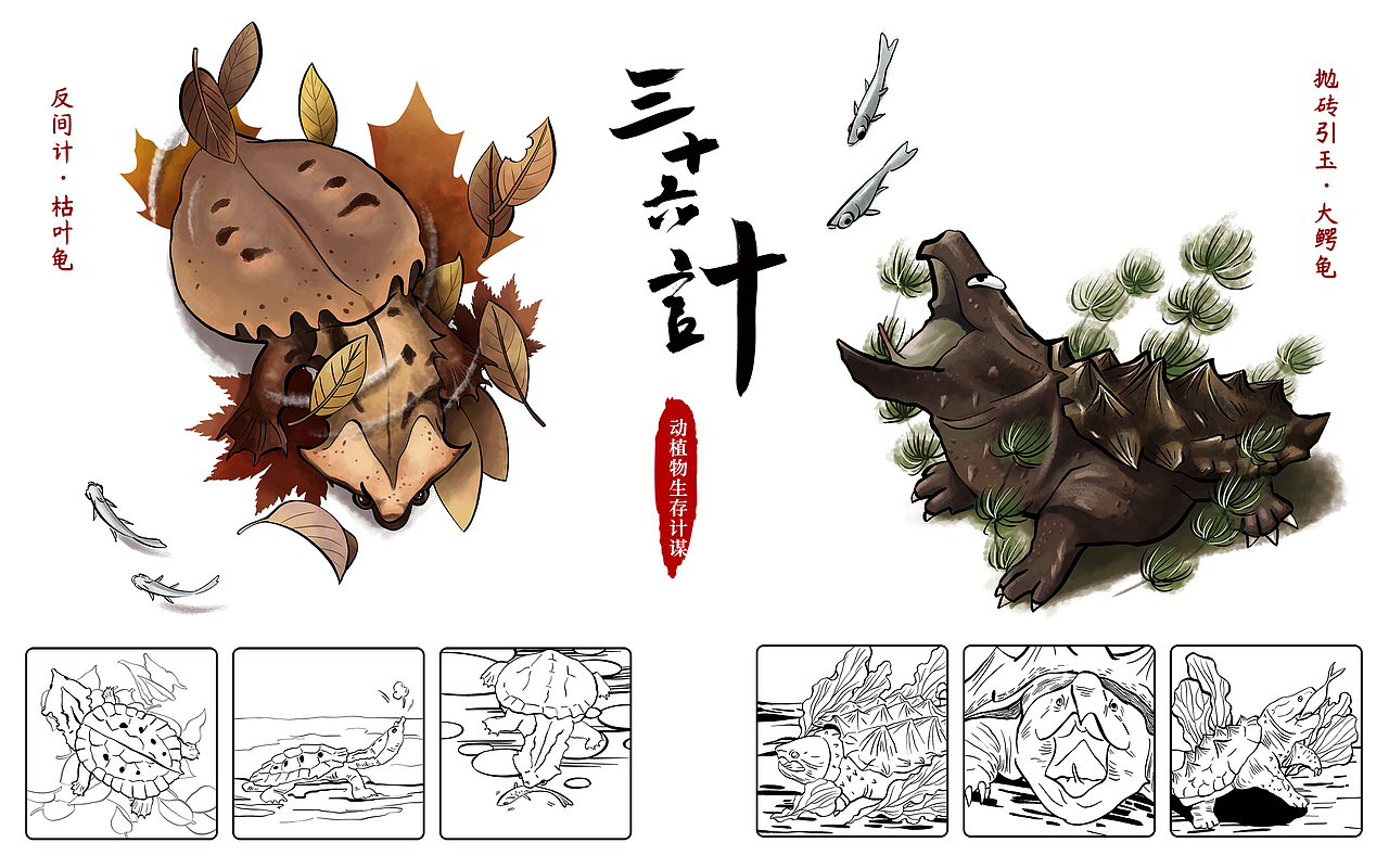 减灶之计代表什么动物:全面揭晓解释落实 减灶之计代表什么动物:全面揭晓解释落实