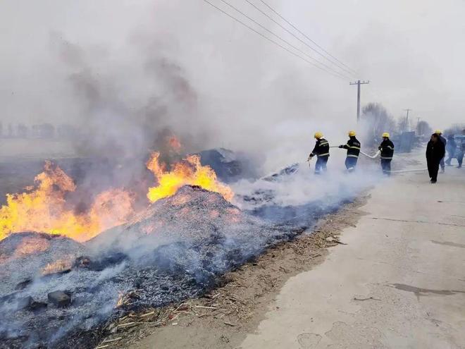 远水救不了近火，解析与生肖谜题的智慧