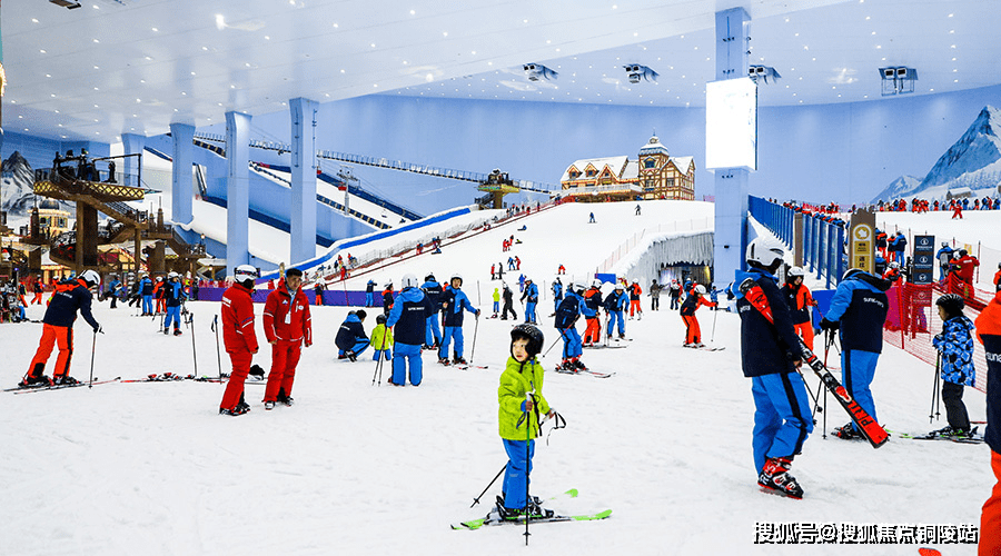 稀汤寡水与生肖的奇妙联系,以向上解释落实为指引的探索之旅 稀汤寡水与生肖的奇妙联系,以向上解释落实为指引的探索之旅