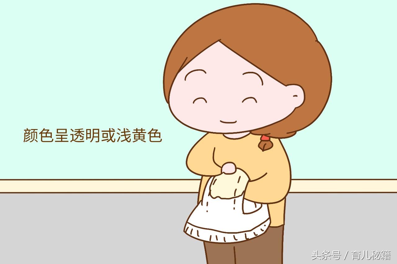 绿林好汉打一生肖、全面解答与解释 绿林好汉打一生肖、全面解答与解释