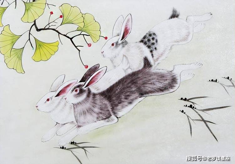 三五成群十双在打一准确生肖、深度作答落实解释