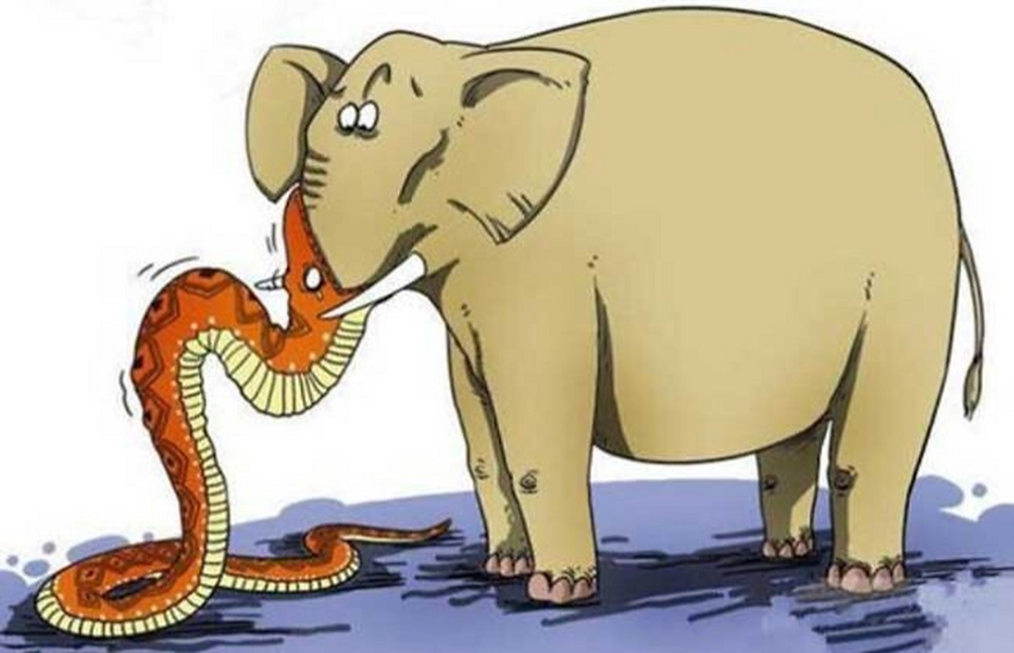 人生不足蛇吞象、前沿作答落实解释 人生不足蛇吞象、前沿作答落实解释