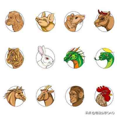 揭秘喧宾夺主之谜，生肖背后的智慧与寓意