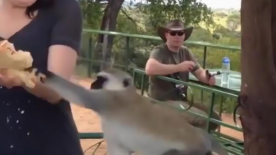 熟门熟路什么生肖、时代作答落实解释 熟门熟路什么生肖、时代作答落实解释