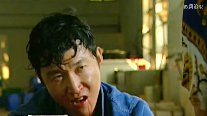 插翅难逃，揭秘生肖中的飞鸟之谜