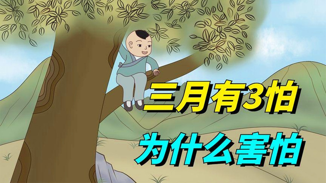 怕三怕四是指什么生肖、惠泽解释落实