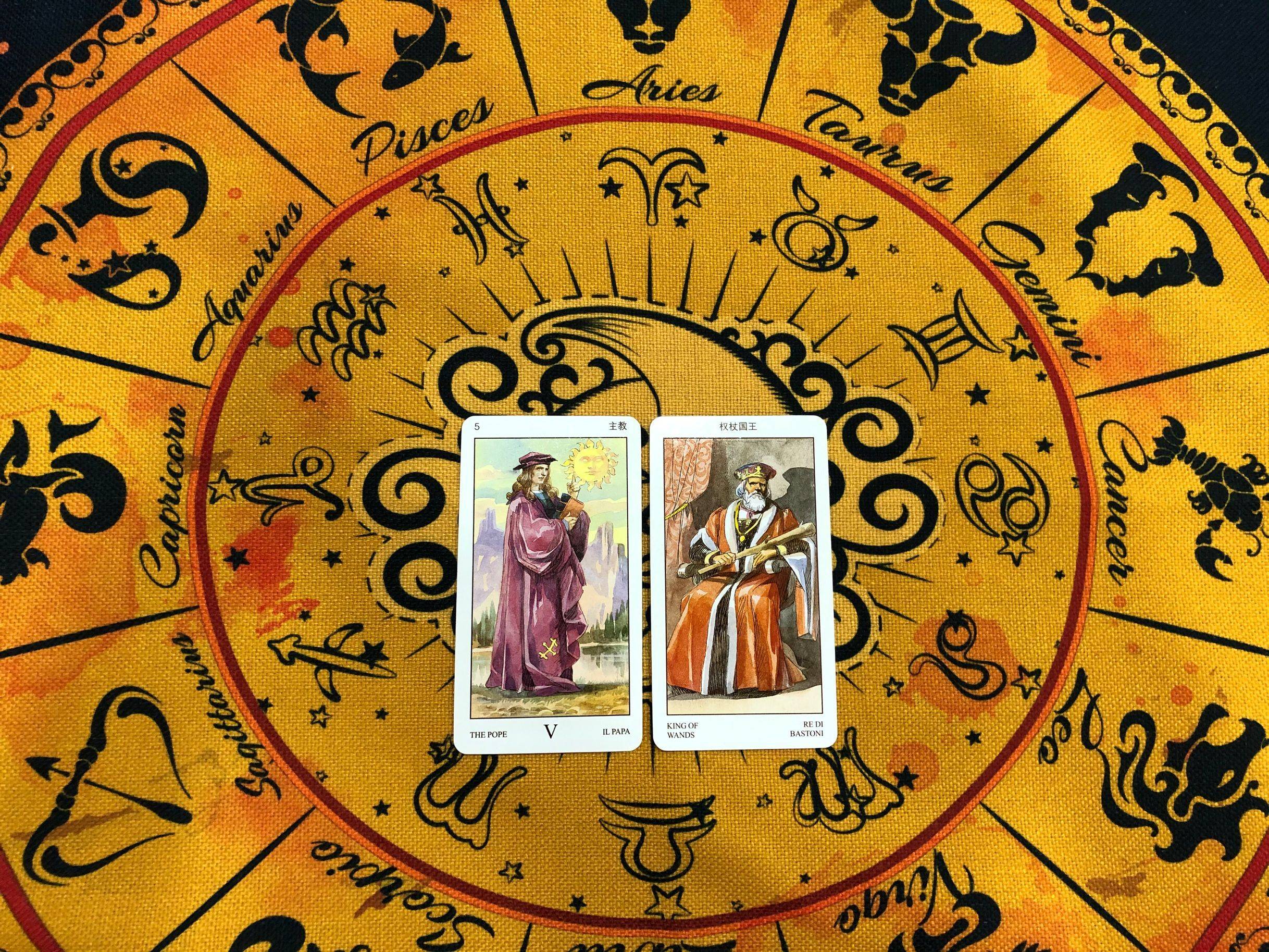 手足无措的生肖谜题，深入解析与趣味解读