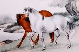 声色犬马是什么生肖?全面揭晓解释落实 声色犬马是什么生肖?全面揭晓解释落实