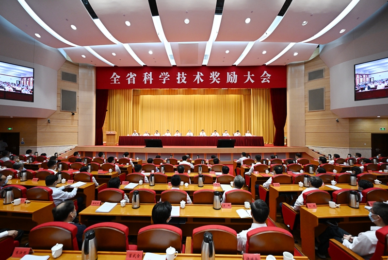 捉贼见赃,生肖背后的创新与落实 捉贼见赃,生肖背后的创新与落实