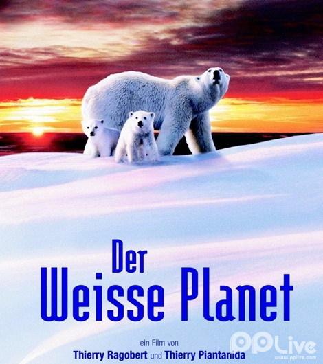 海说神聊打一动物、前沿作答落实解释