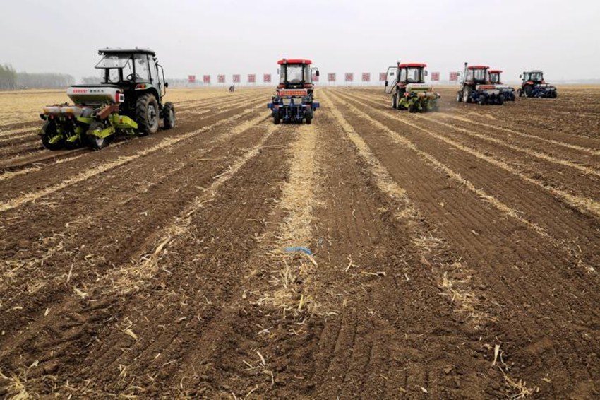 旱情打一正确生肖、值得作答落实解释