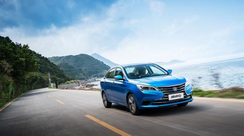 学富五车与生肖之谜，合作作答的智慧解析