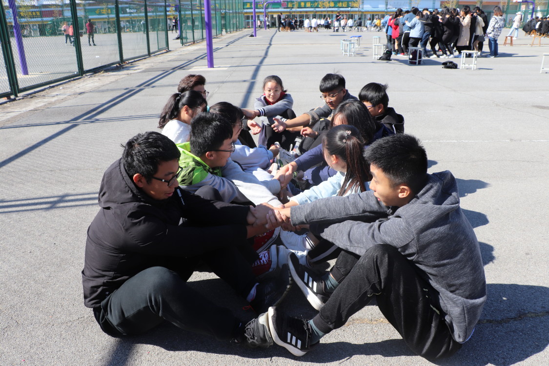 鼎力相助与团结作答,共筑成功之基的实践智慧 鼎力相助与团结作答,共筑成功之基的实践智慧