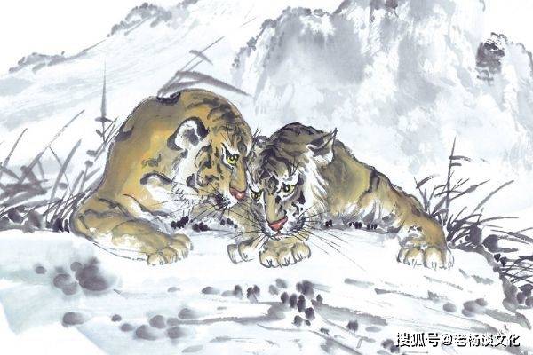 揭秘山穷水尽背后的生肖奥秘，深度解析与现实应用