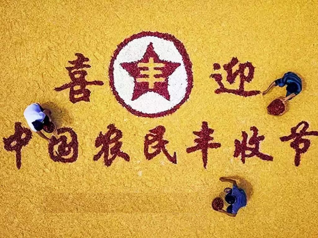 千丝万缕的生肖谜团,揭秘与解析 千丝万缕的生肖谜团,揭秘与解析