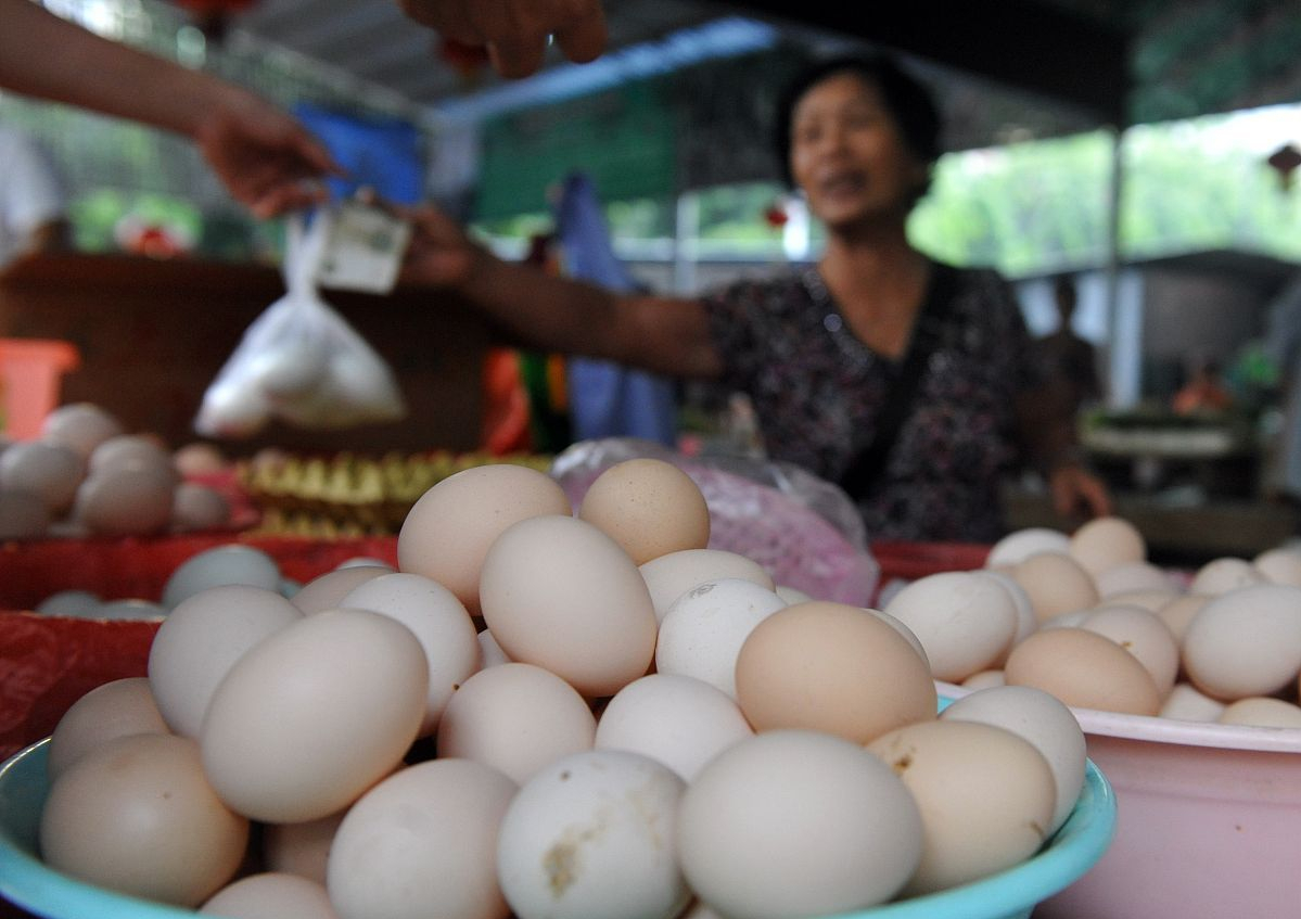 鸡蛋与猪价,市场波动背后的答案与应对策略 鸡蛋与猪价,市场波动背后的答案与应对策略
