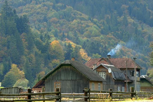乡土难离,生肖与科学解释的深度探索 乡土难离,生肖与科学解释的深度探索