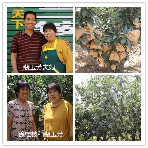 施不望报,一种超越功利的高尚情怀 施不望报,一种超越功利的高尚情怀