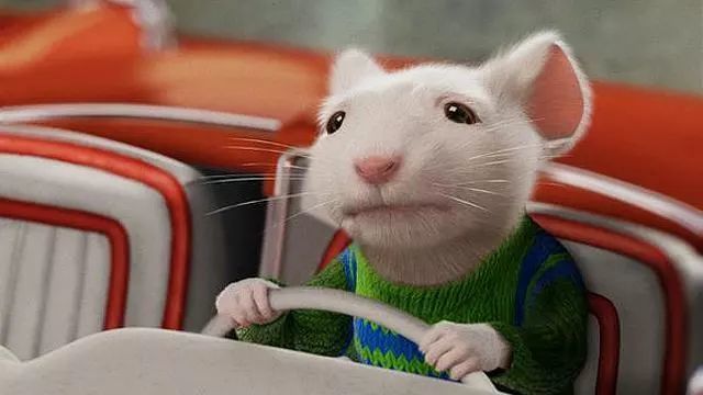 畏之如虎，生肖中的智慧与警示—以鼠为例的经典解释