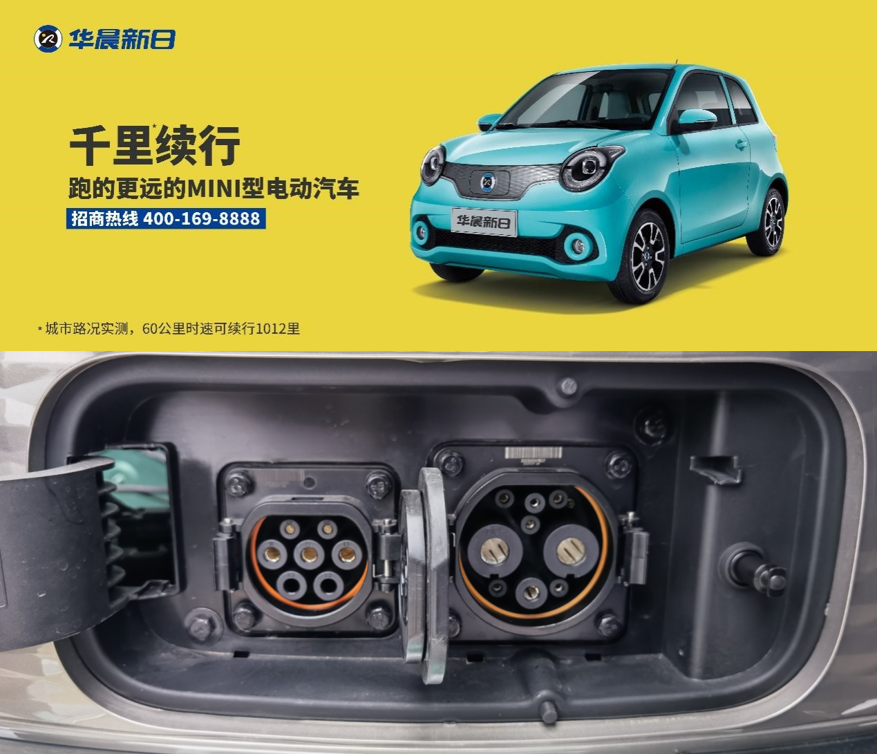 夯雀先飞，生肖中的智慧与形形色色的实践落实