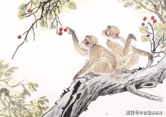 树大根深打一最佳生肖、精选解释落实 树大根深打一最佳生肖、精选解释落实