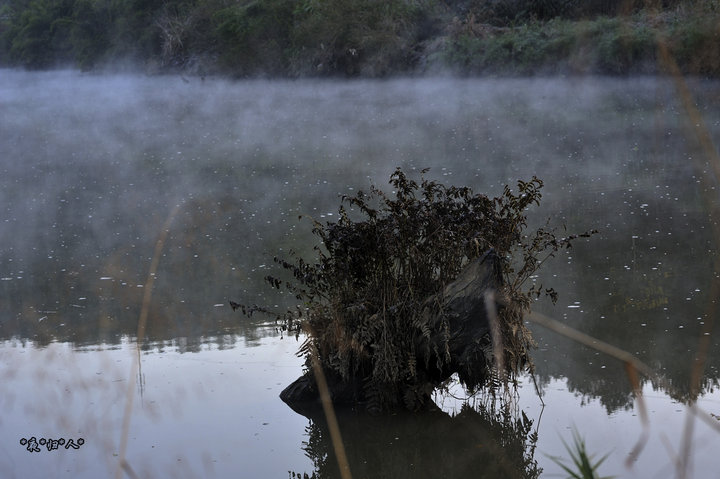 朦朦胧胧是什么生肖、预测解释落实