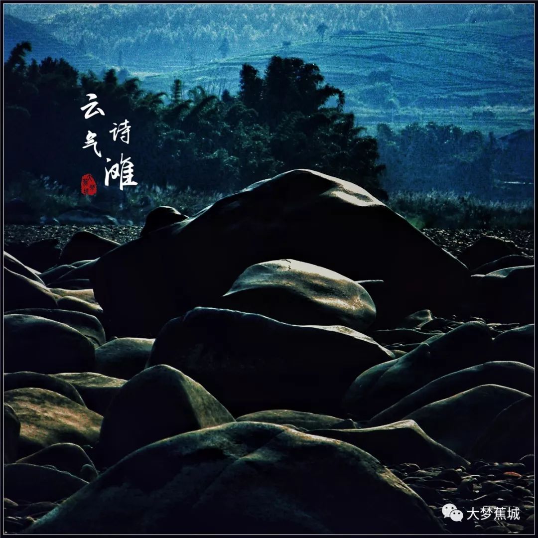 牵萝补屋，生肖之谜的全面揭晓与解释落实