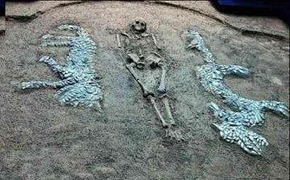 直随秋风冠边城,揭秘生肖之谜 直随秋风冠边城,揭秘生肖之谜