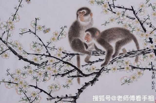 施谋用智是什么生肖、激励作答落实解释 施谋用智是什么生肖、激励作答落实解释