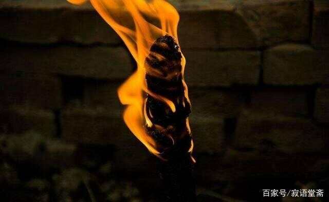 炉火纯青打一个生肖,揭秘背后的文化与智慧 炉火纯青打一个生肖,揭秘背后的文化与智慧