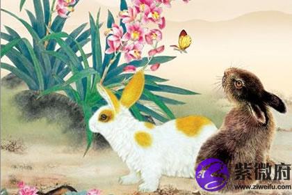 秀丽如画是什么生肖:谜底即将揭晓落实 秀丽如画是什么生肖:谜底即将揭晓落实