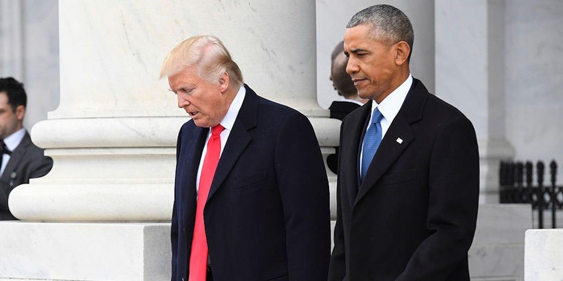 出头露面的智慧与沉稳解释落实的哲学—以动物界为例的深刻启示