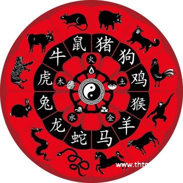 灭顶之灾与生肖的神秘联系，解读与落实