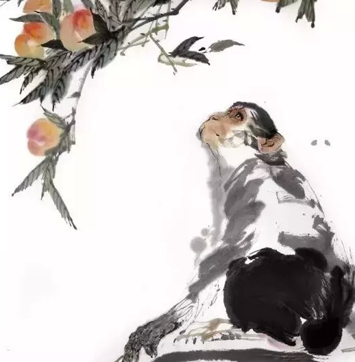 行云流水与生肖之谜，一场文化与智慧的深度解析