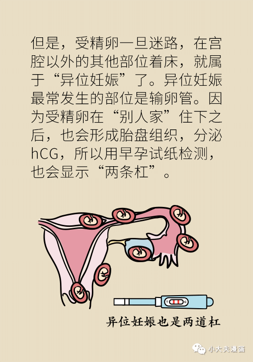 韶光似箭最准确的生肖、谁来落实解答 韶光似箭最准确的生肖、谁来落实解答