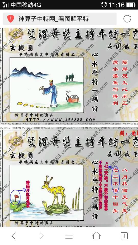 隔岸观火猜生肖，合作解释落实的智慧