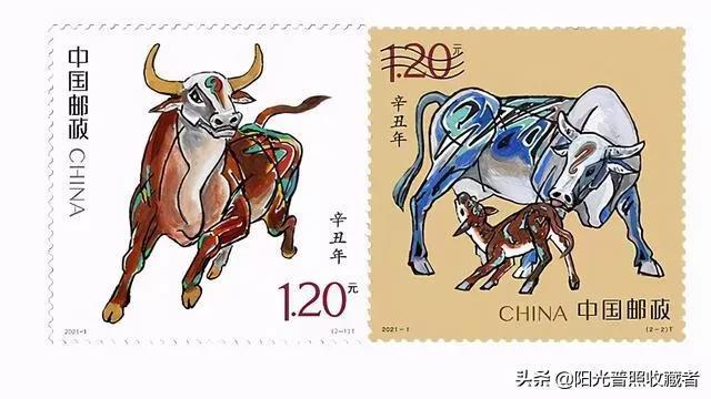 揭秘说长道短背后的生肖谜底