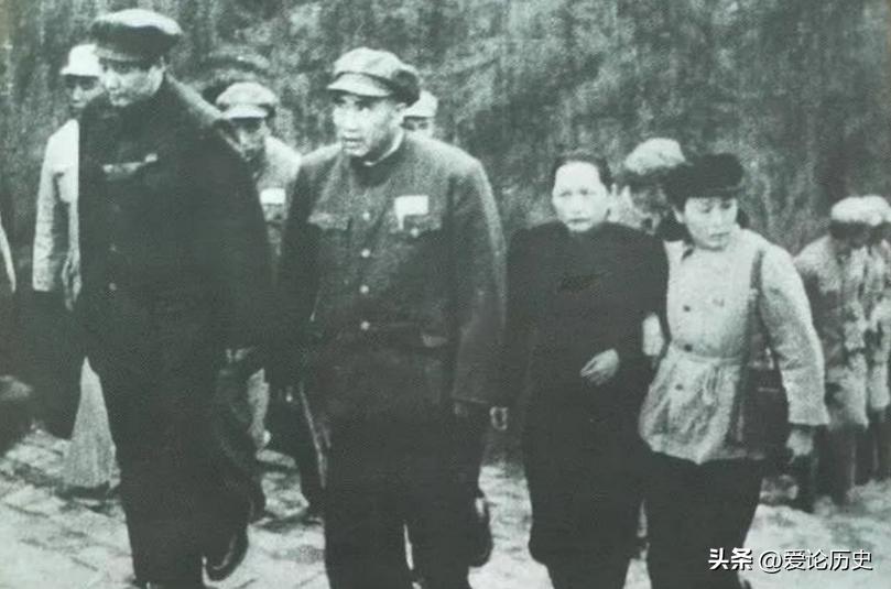 苦尽甘来话牛年,生肖牛的坚韧与希望 苦尽甘来话牛年,生肖牛的坚韧与希望