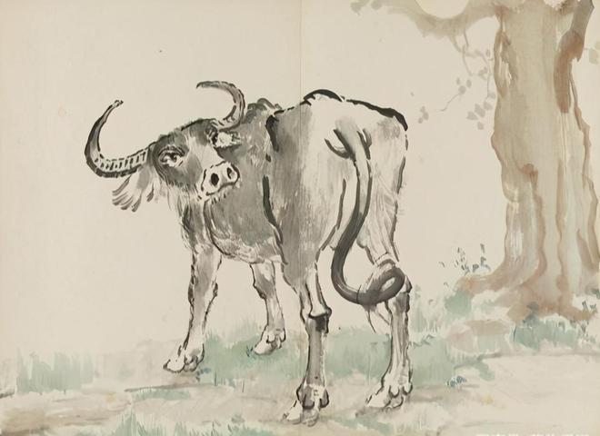 盲人瞎马与生肖之谜,一场热议的深度解析 盲人瞎马与生肖之谜,一场热议的深度解析