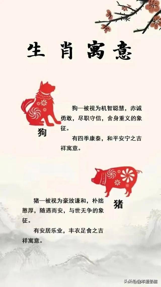 手无寸铁,生肖背后的智慧与寓意 手无寸铁,生肖背后的智慧与寓意