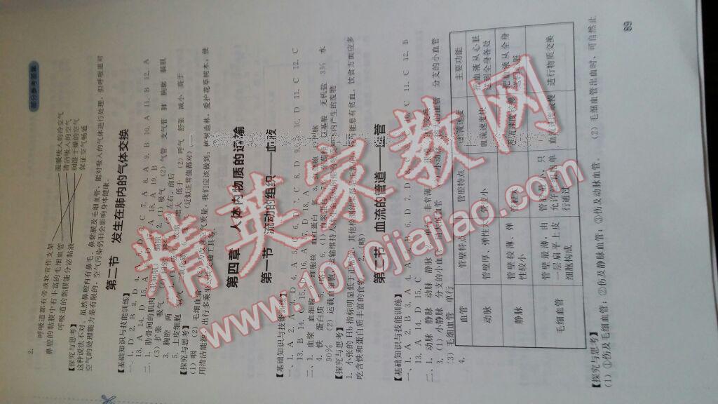 天女散花谜题新解,探索最新解释背后的动物寓意与落实实践 天女散花谜题新解,探索最新解释背后的动物寓意与落实实践